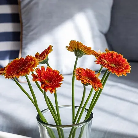 Sonia Seaside With Parking - Dabrowki *