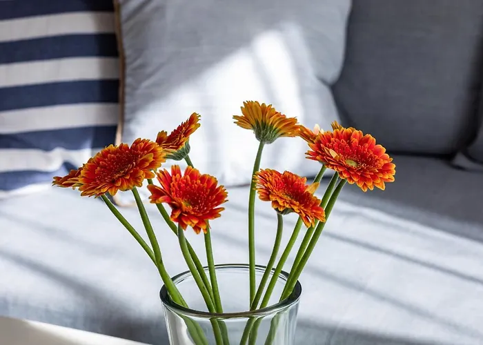 Sonia Seaside With Parking - Dabrowki *